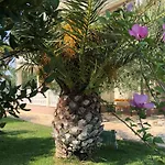Olive Grove By Interhome ニン