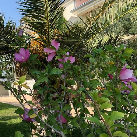 Olive Grove By Interhome Semesterbostad Nin