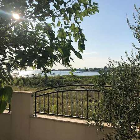 Olive Grove By Interhome Нин