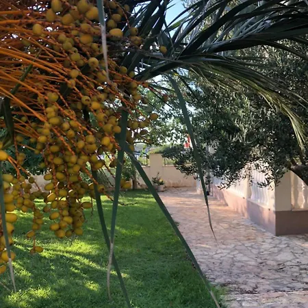 Olive Grove By Interhome Nin