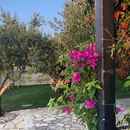 Olive Grove By Interhome *