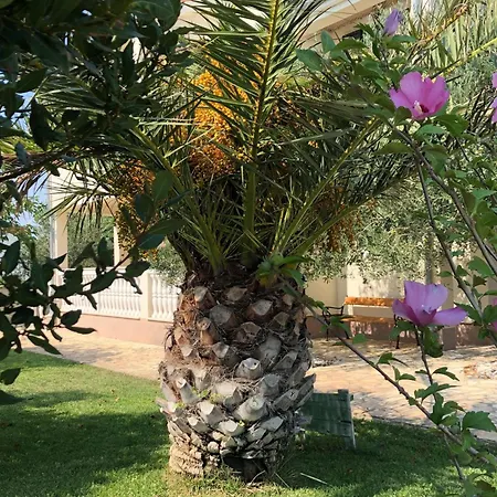 Olive Grove By Interhome Nin