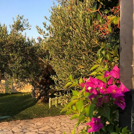 Olive Grove By Interhome * Nin