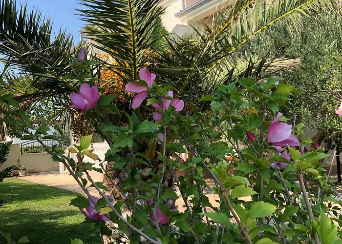 Olive Grove By Interhome Semesterbostad Nin