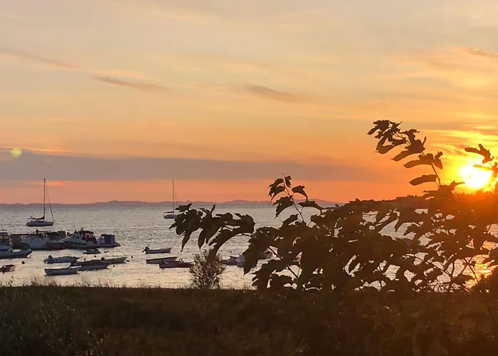 Olive Grove By Interhome Semesterbostad Nin