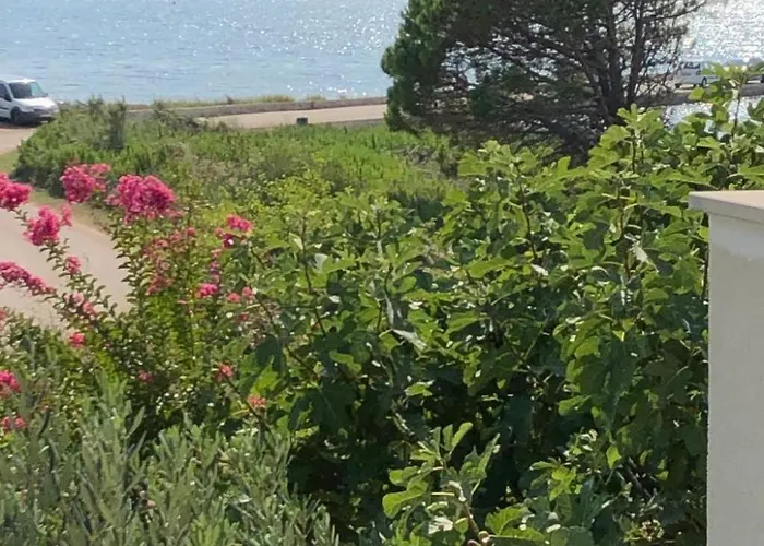 Olive Grove By Interhome Semesterbostad Nin