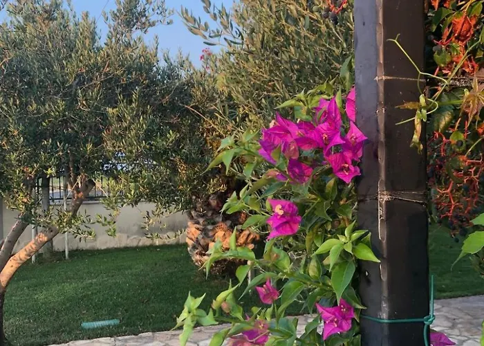 Olive Grove By Interhome *