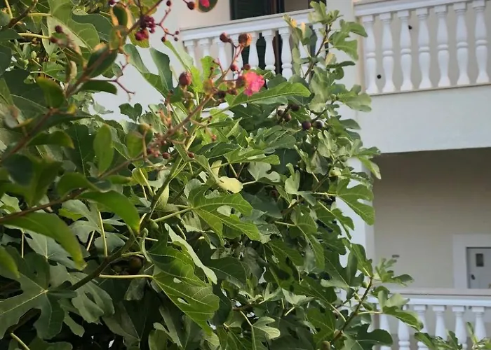 Semesterbostad Olive Grove By Interhome Nin