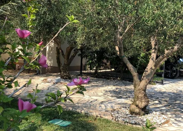 Olive Grove By Interhome Дом отдыха *