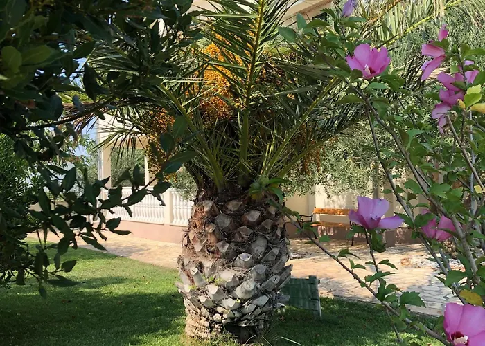 Olive Grove By Interhome Nin