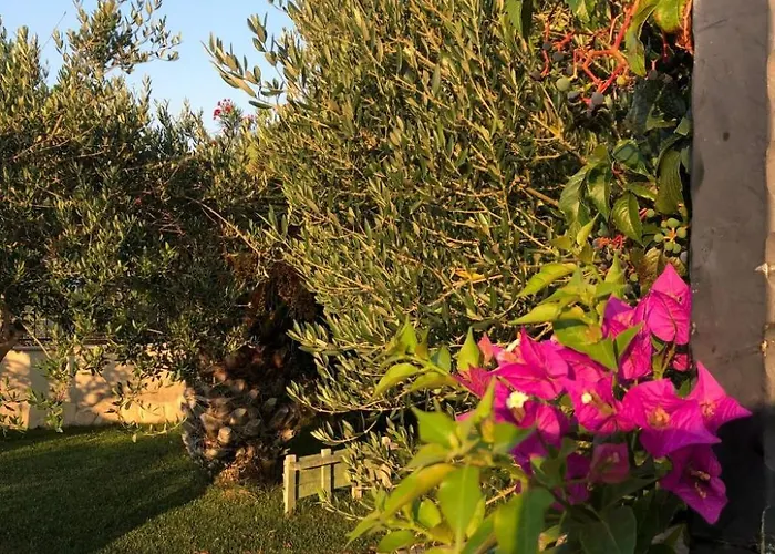 Olive Grove By Interhome * Нин