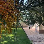 Olive Grove By Interhome Nin
