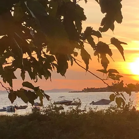 Olive Grove By Interhome * Нин