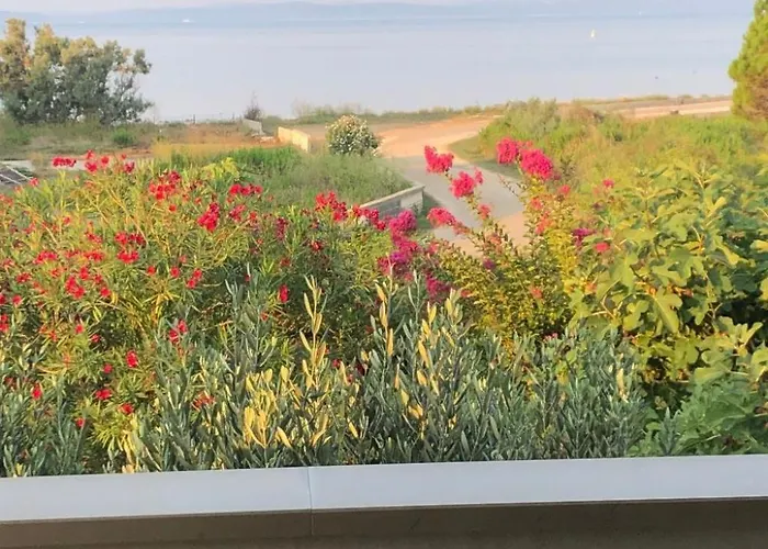 Olive Grove By Interhome